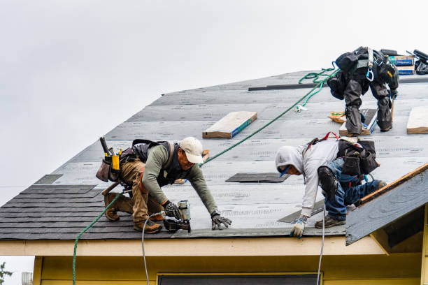Professional Emergency Roof Repair technician working in Crabtree, OR